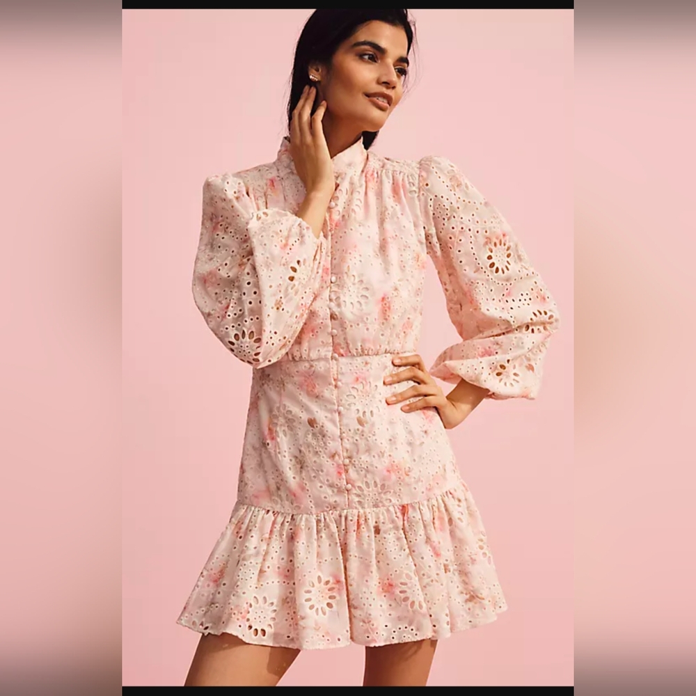 Anthropologie Floral Pink Long Sleeve Dress
